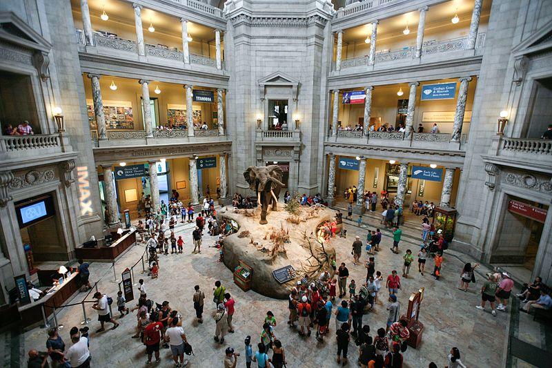 The Smithsonian National museum of natural history